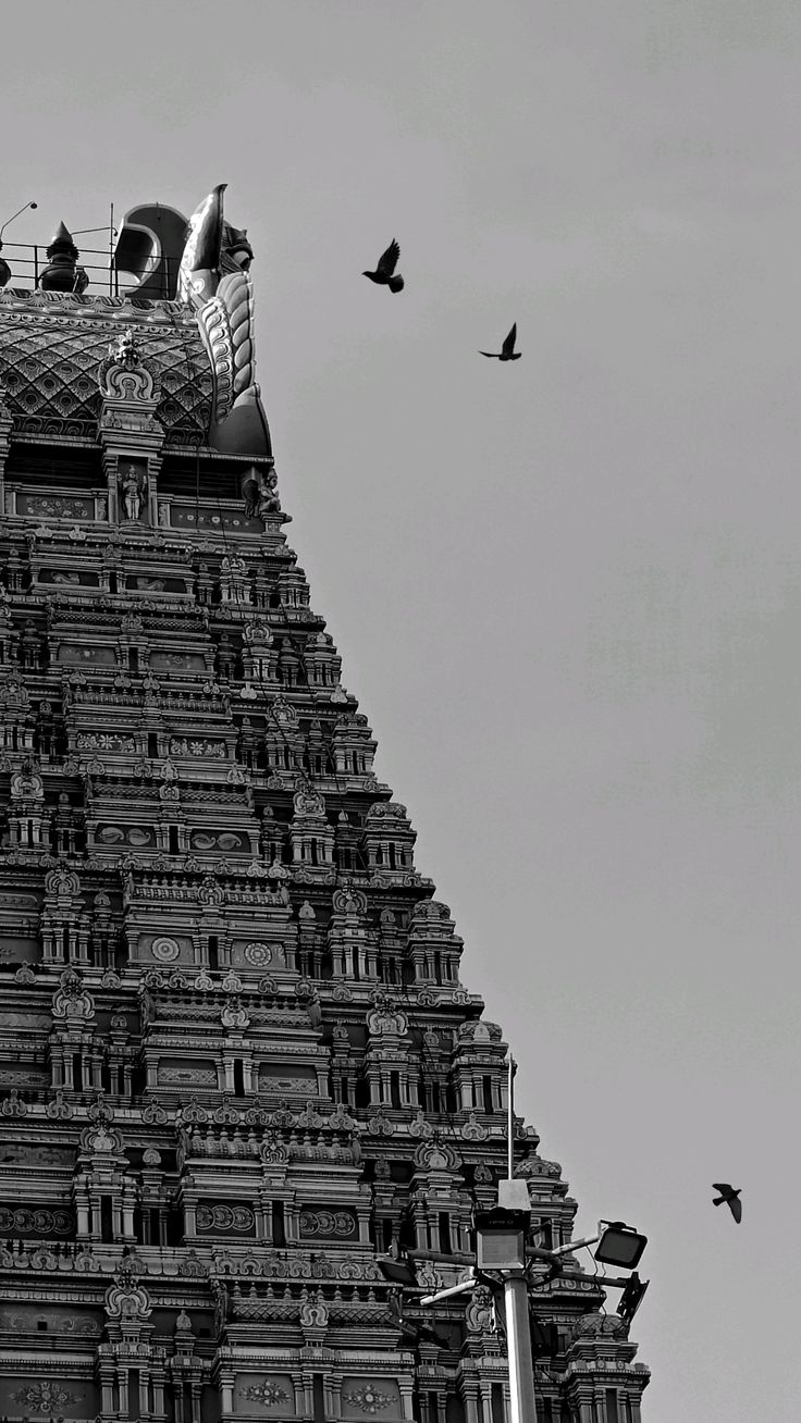 Girivalam at dawn